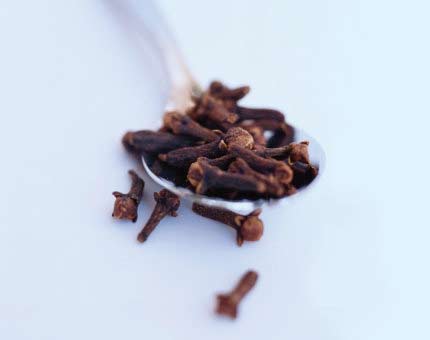 Clove Oil